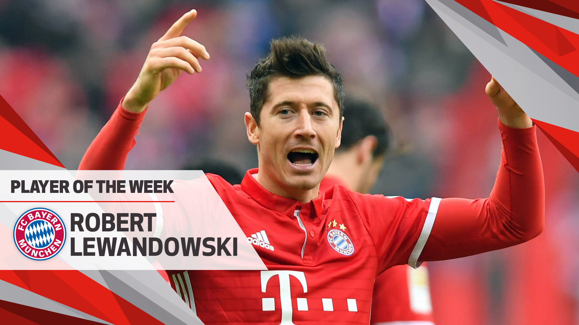 东莞协川帽业画册设计案例